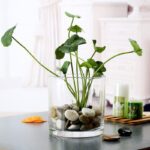 Wholesale Glass Vase HP-025 - Image 4